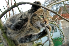 DSCN8541.jpg